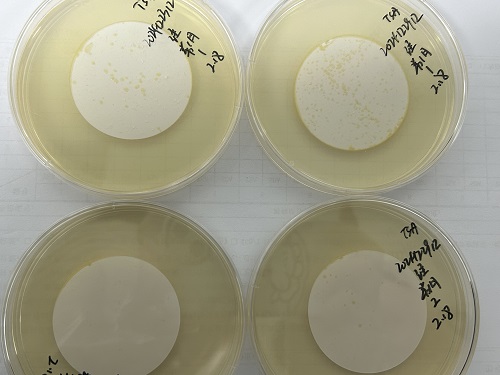 为什么微生物培养时平板要倒置